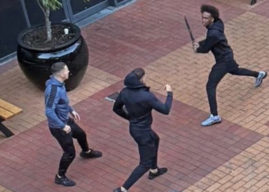 Victoria Brings Forward Machete Ban